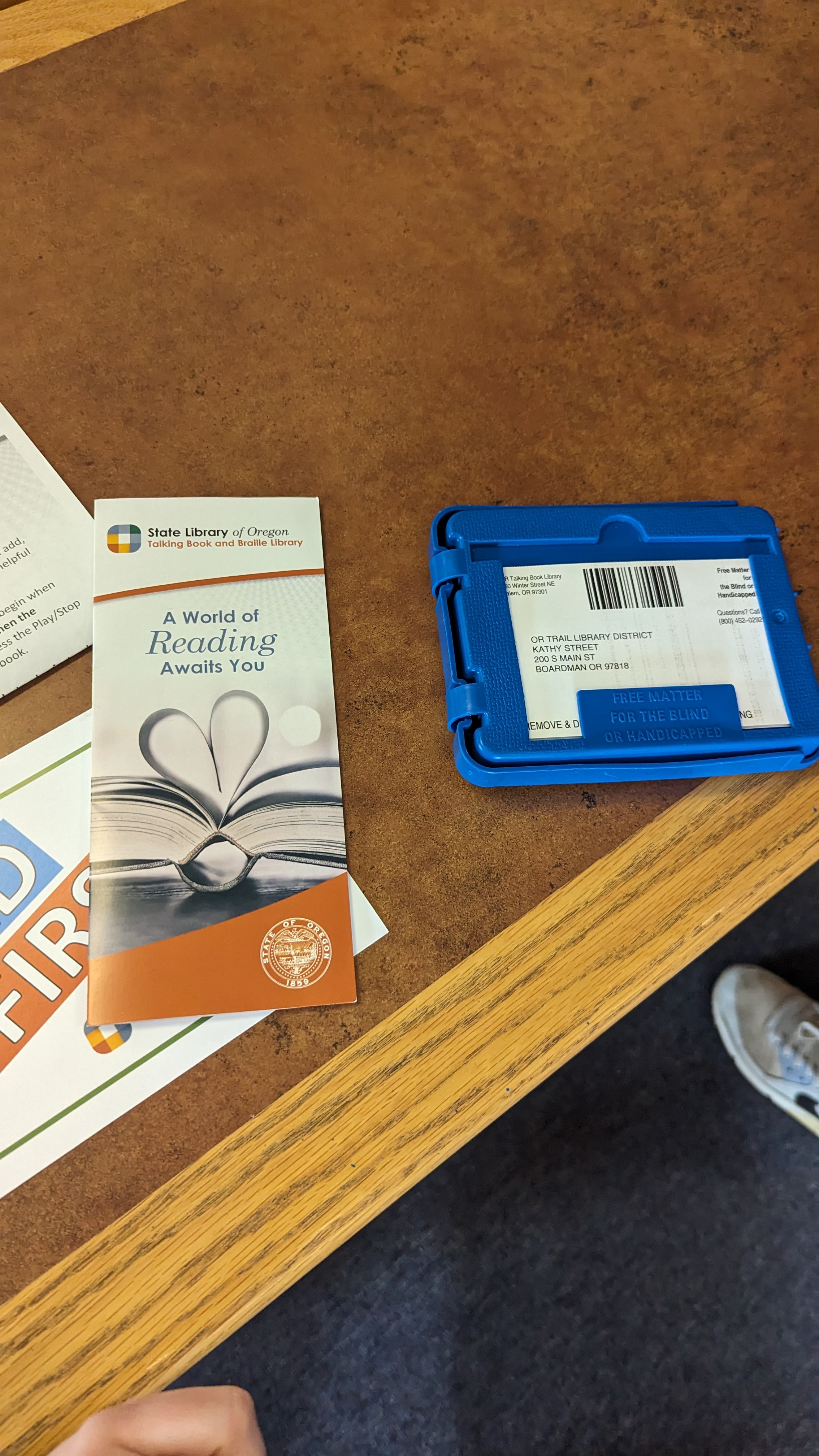 Audio book system and brochure