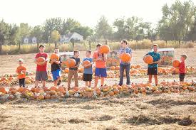 Pumpkin Patch