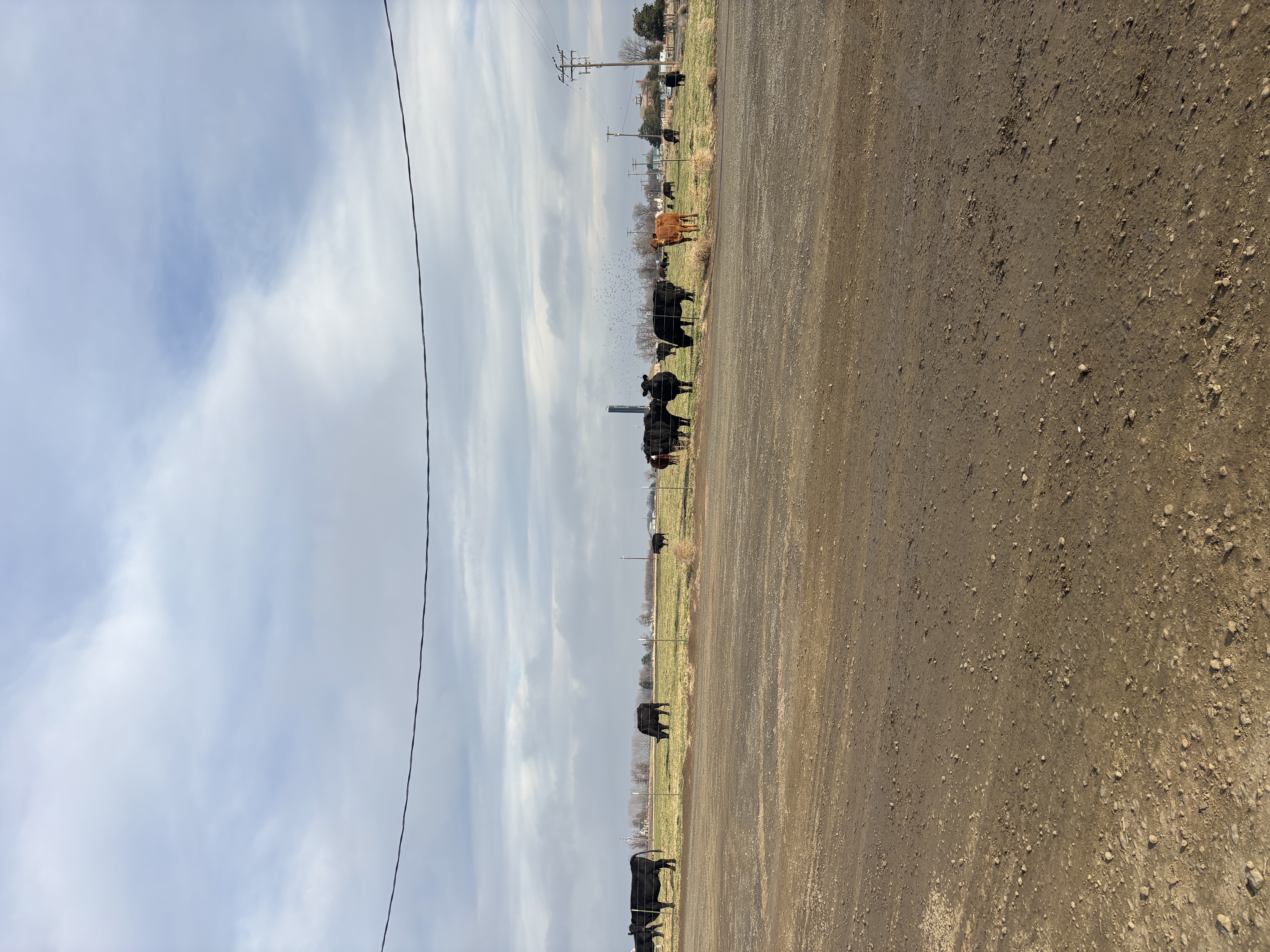 Parking on gravel