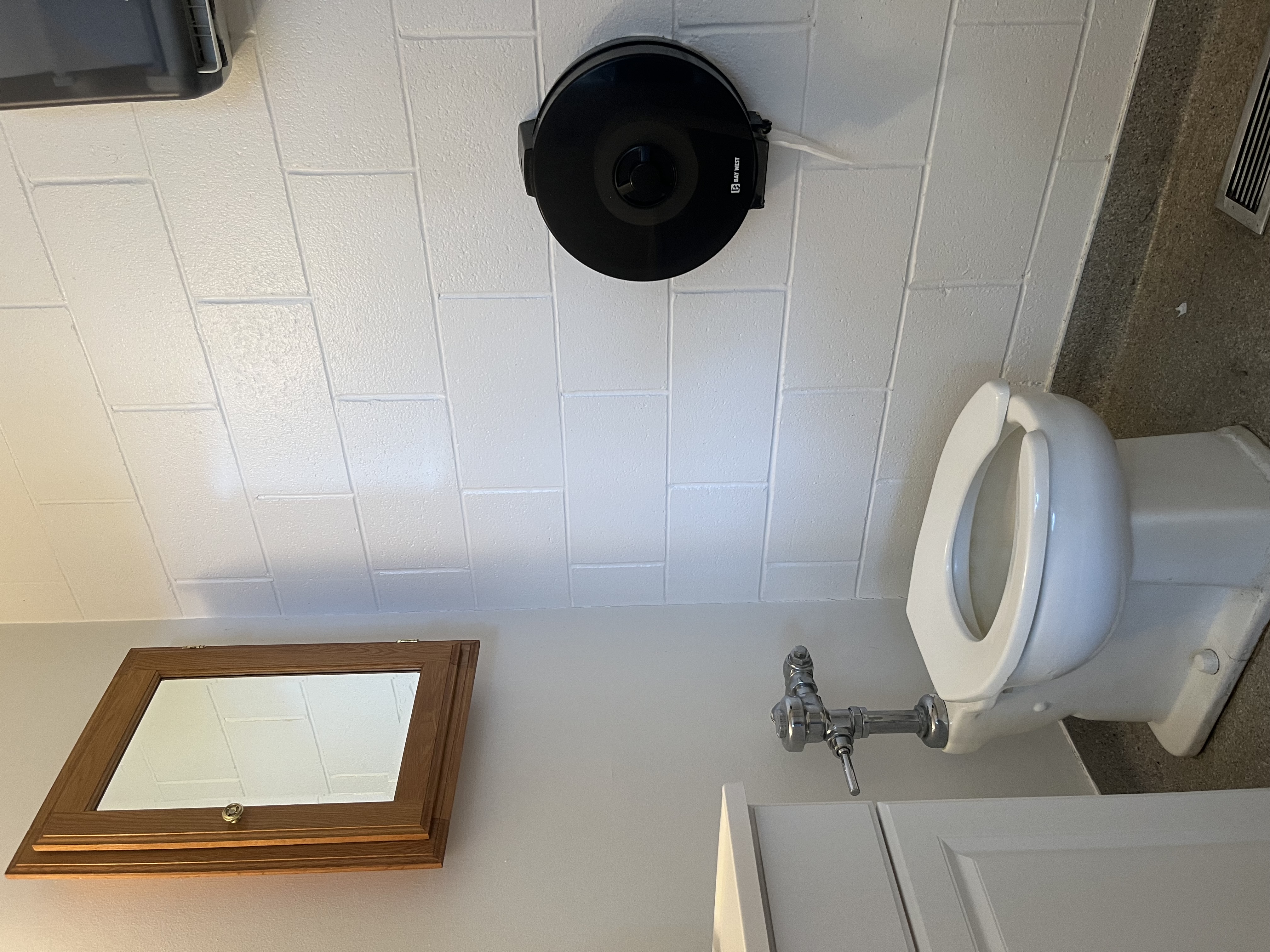 Toilet - no grab bars